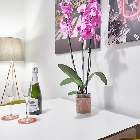 Sant Pau Apartment